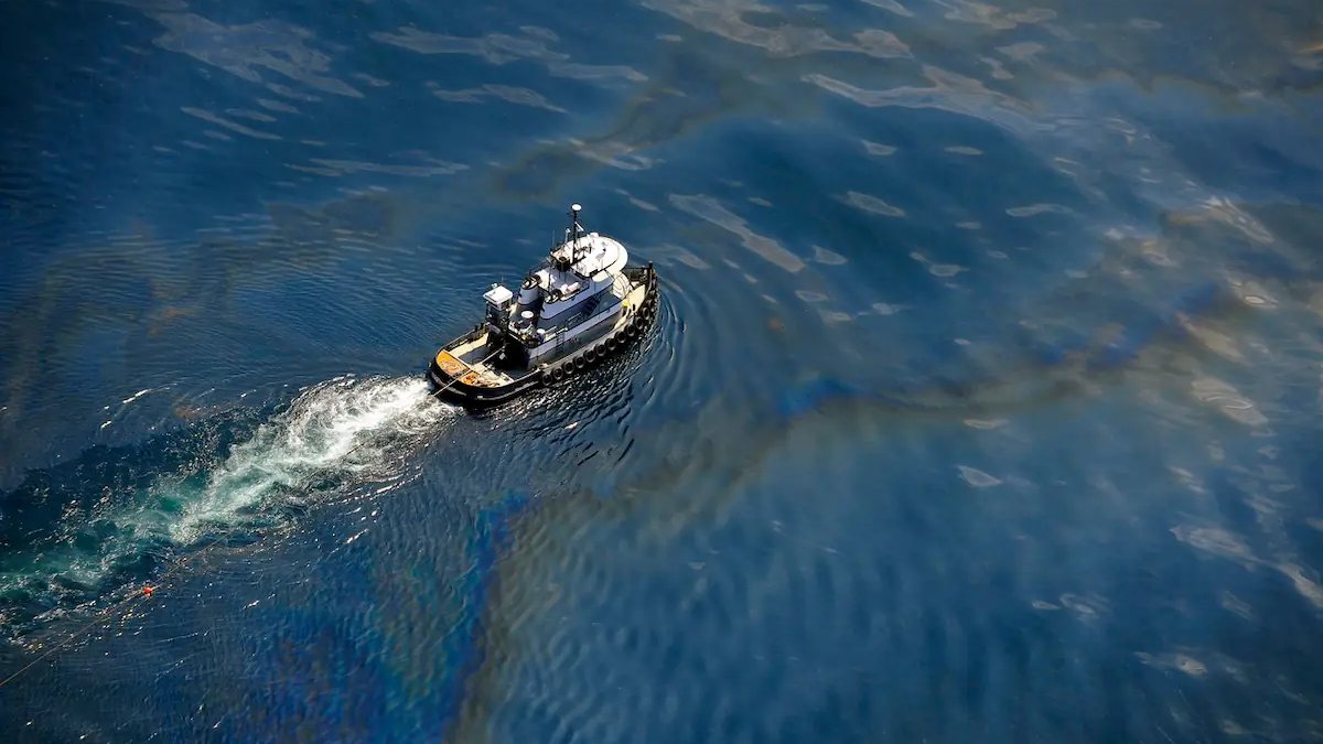 Study Reveals Lasting Damage to Gulf Marine Life from 2010 BP Oil Spill