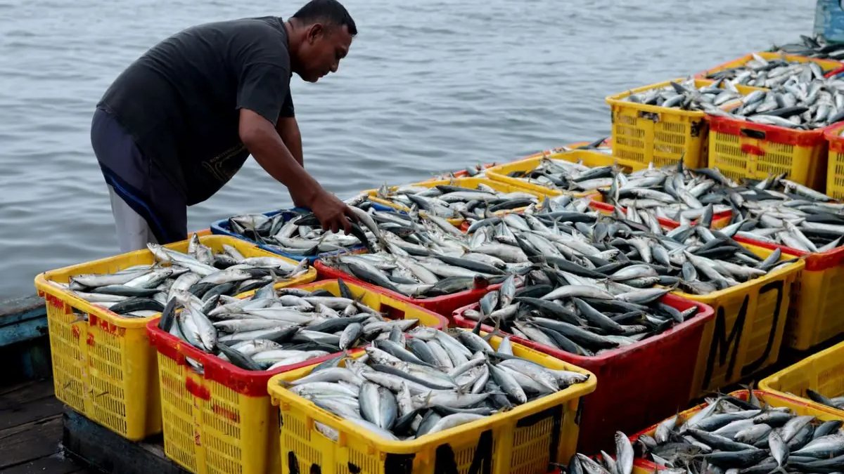 Trump Admin Unveils Plan to Expand U.S. Seafood Production