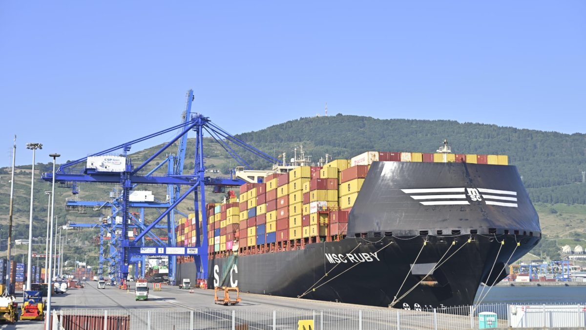 MSC introduces emergency surcharge on East Mediterranean–North Europe trade