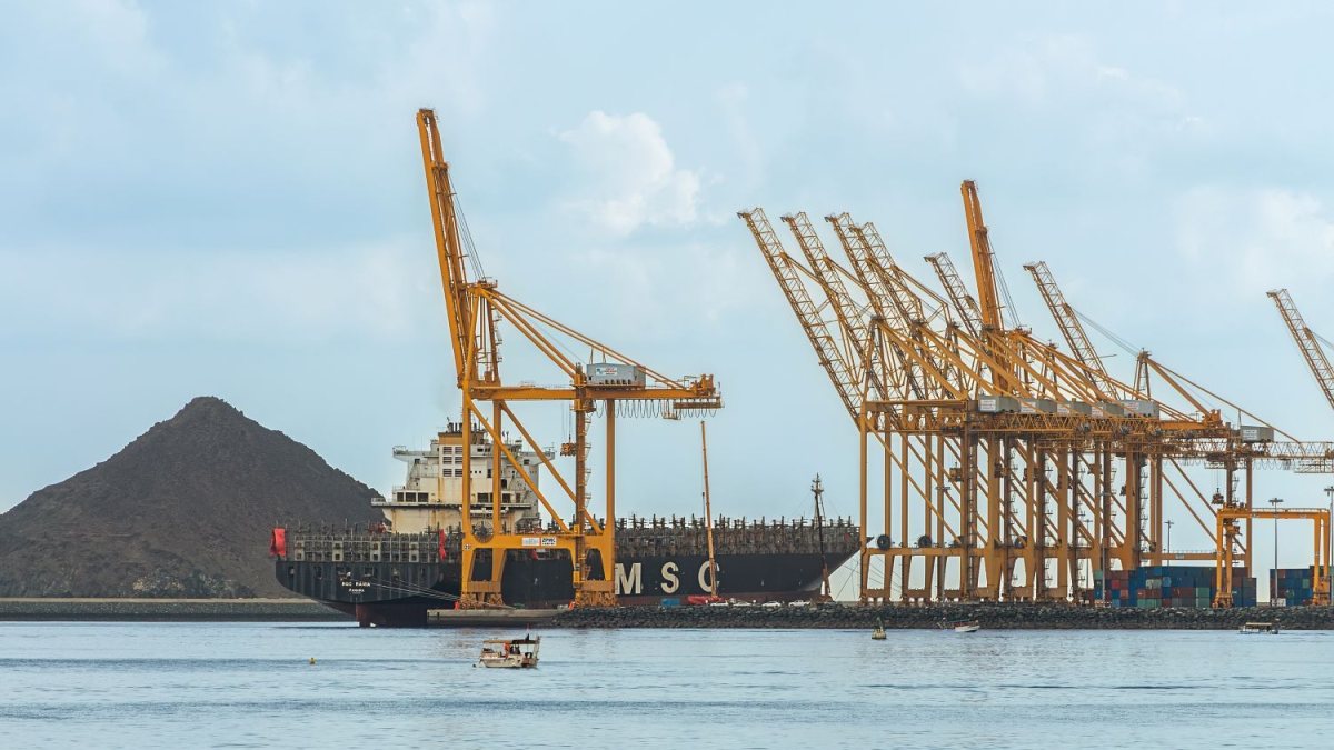 Congestion, vessel attacks exacerbate India-Middle East cargo flow strain
