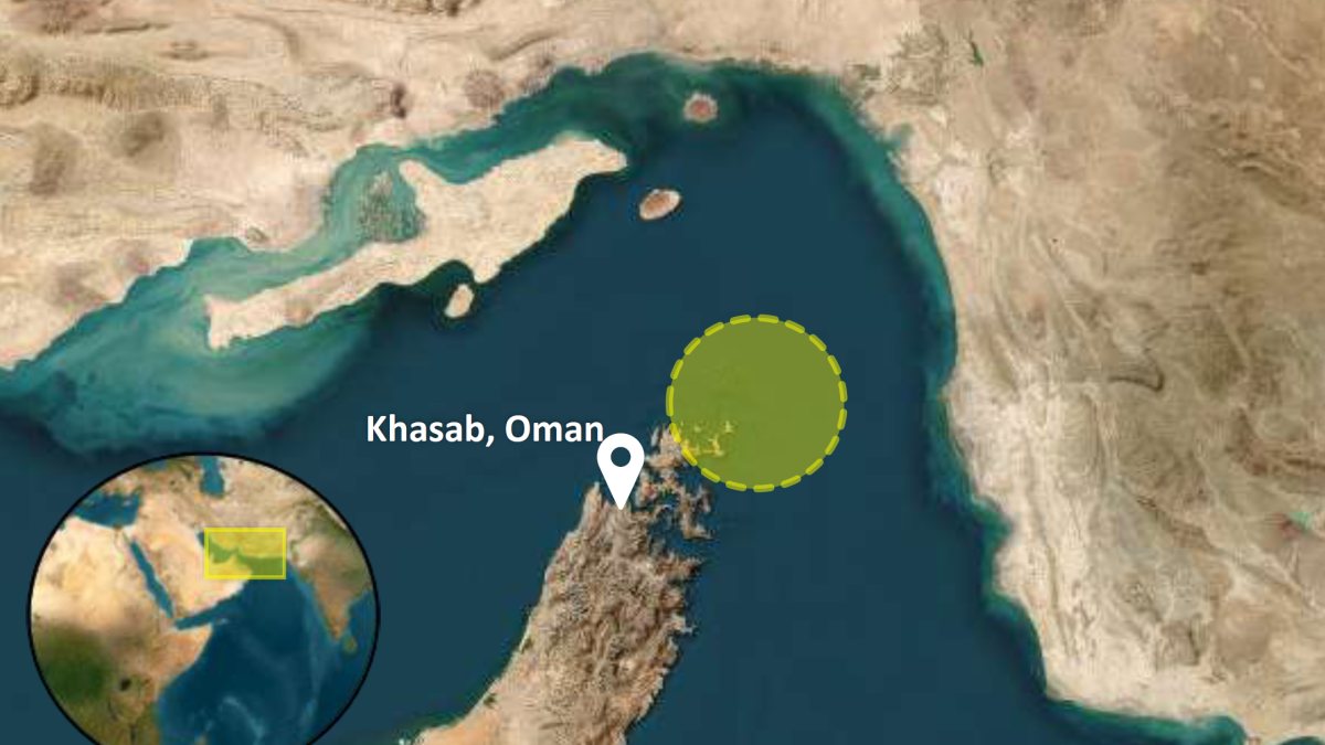 Tanker Hit by Limpet Mine Attack in Strait of Hormuz