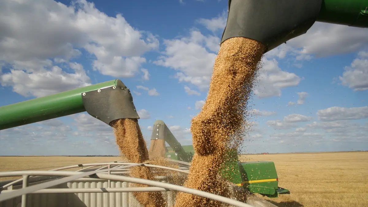 Trump Announces More Financial Aid for Farmers