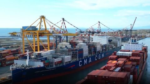 CMA CGM ship hits STS crane at TDT