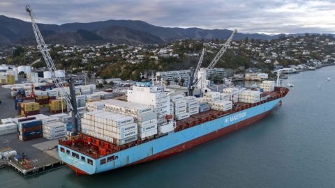 Port Nelson writes down assets on lower forecast