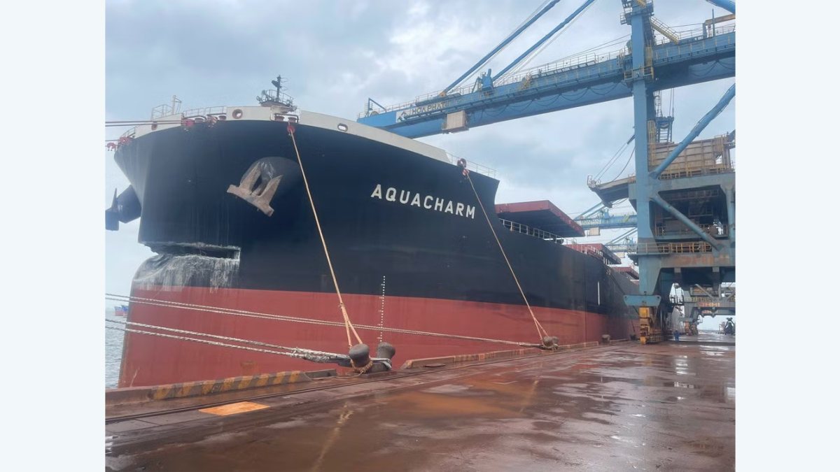 Bulker Holed in Dock Allision Prompts New Rules for Vietnamese Port