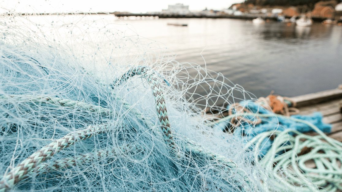 DP World Turns Fishing Nets From Sea Of Marmara Into Custom Designed Sunglasses To Protect Marine Life