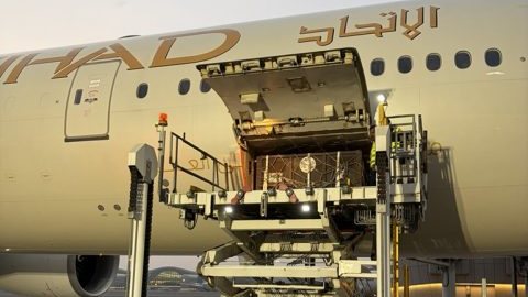 Etihad Cargo flies rescued bears from Russia to Ireland