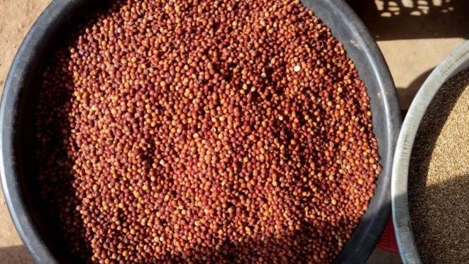 Telangana’s Tandur red gram enters Australian market