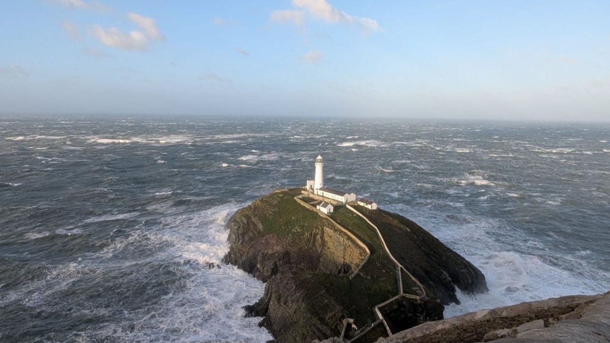 AI solutions to track wildlife at Welsh 30 MW tidal energy project