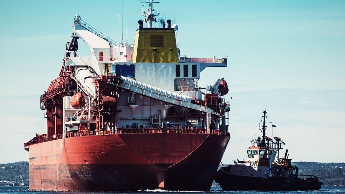 Indian Coast Guard Rescues 13 Seafarers After Bulk Carrier Suffers Engine Failure In Powerful Cyclone