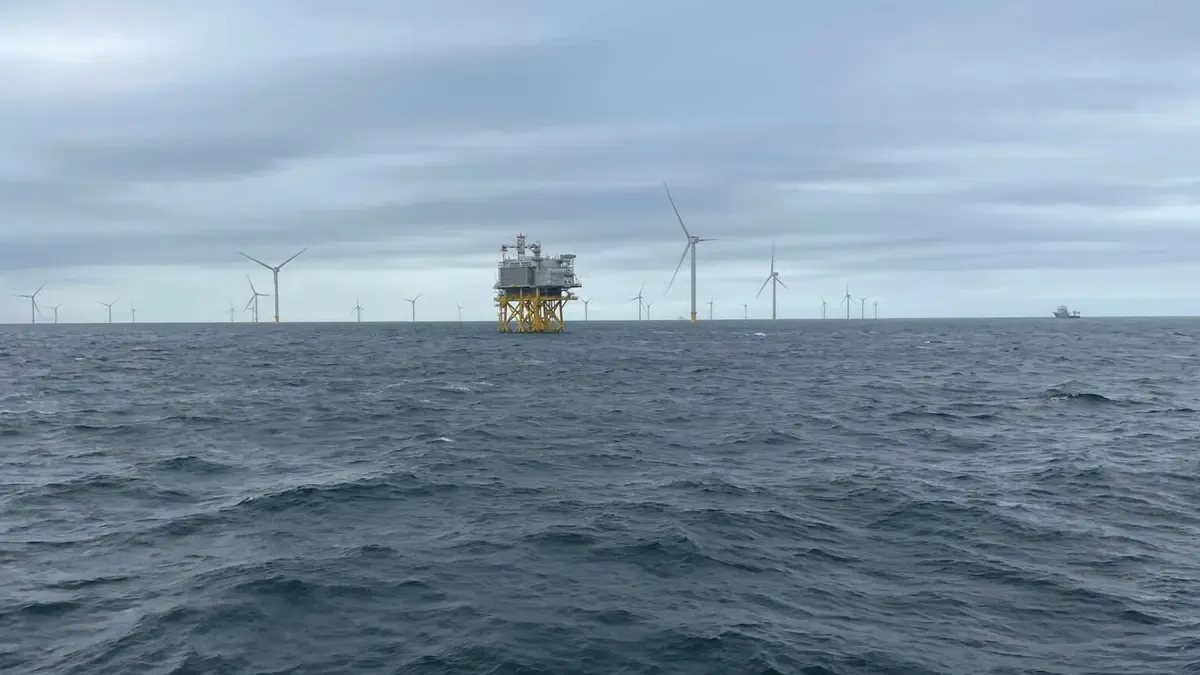 Pacifico Energy Launches Survey Campaign for 1.8 GW Offshore Wind Projects in Vietnam