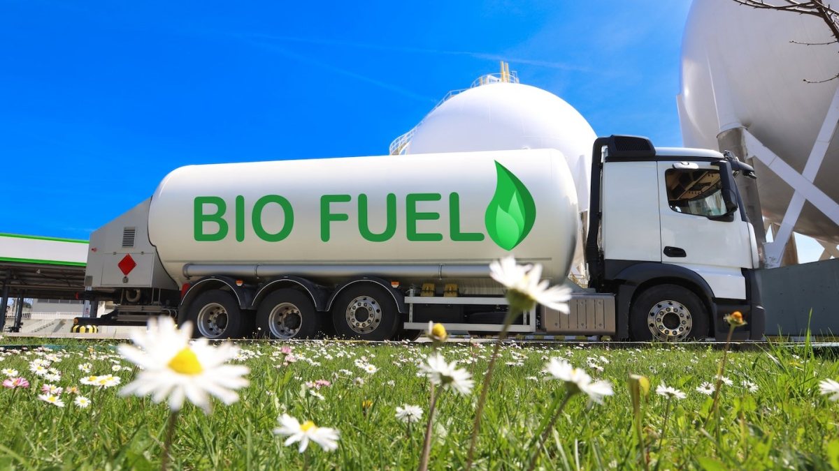 Biofuels will prove to be a highly suitable alternative in the energy transition