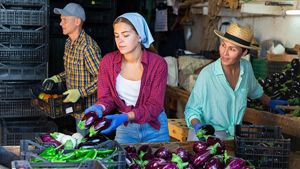 Report: 97% of Food and Drink Firms Find Supply Chain Labor Violations