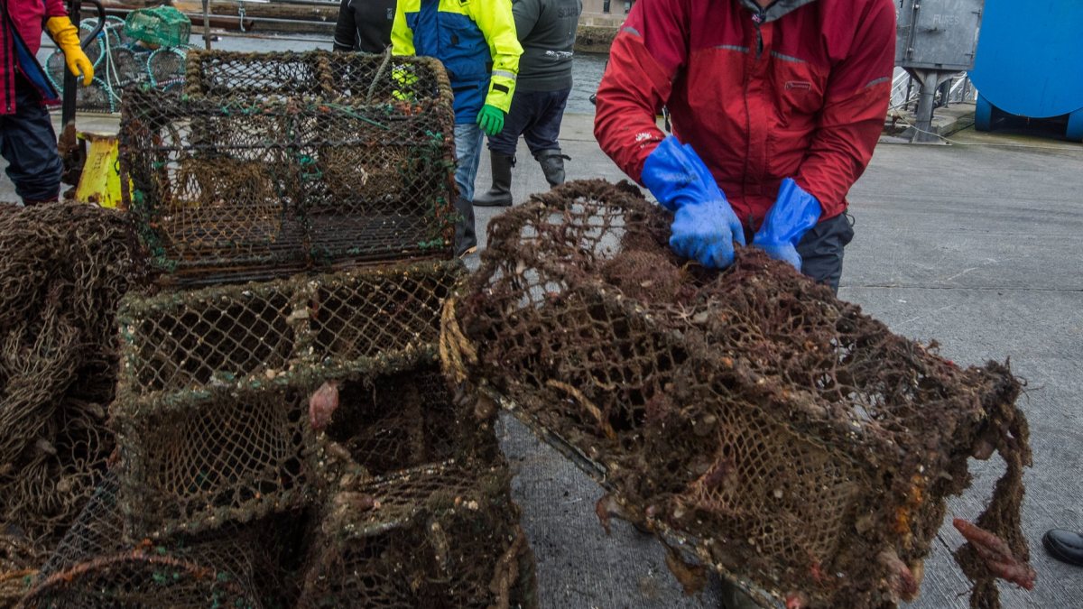 A New Way to Pay for Ghost Gear Removal: Offsetting Habitat Impacts