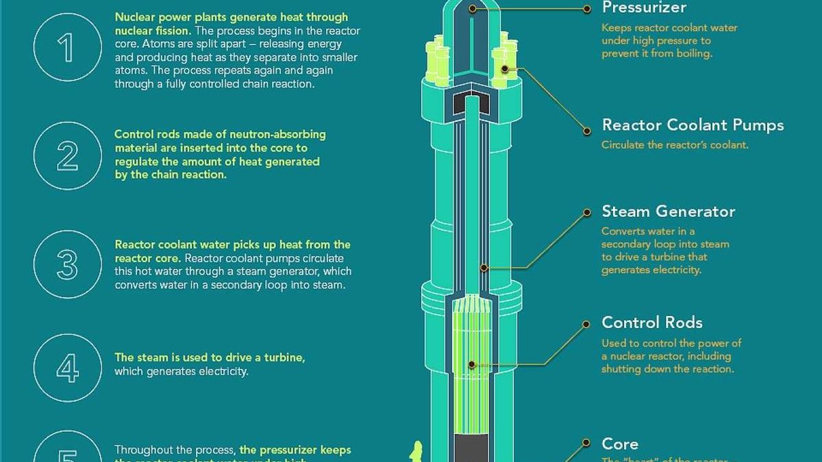 AAPA says ports could draw power from dock-side nuclear reactors