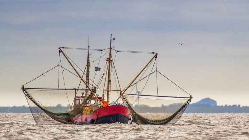 Trump Administration Unveils Seafood Strategy to Boost U.S. Fishing Fleet and Domestic Production