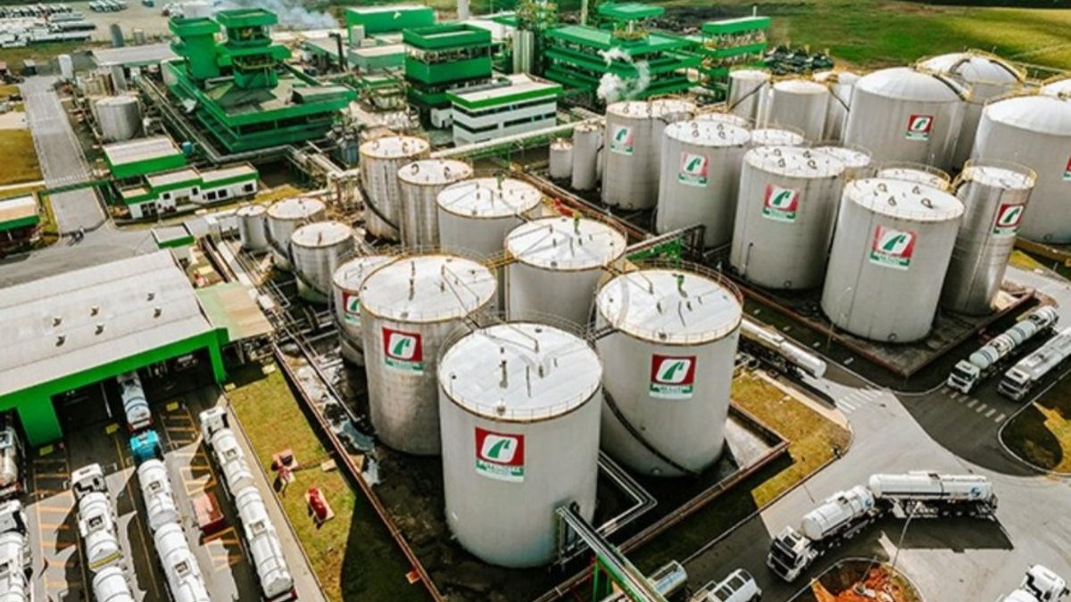 Grupo Potencial invests R$4.5 million in a new port logistics company in Paranaguá