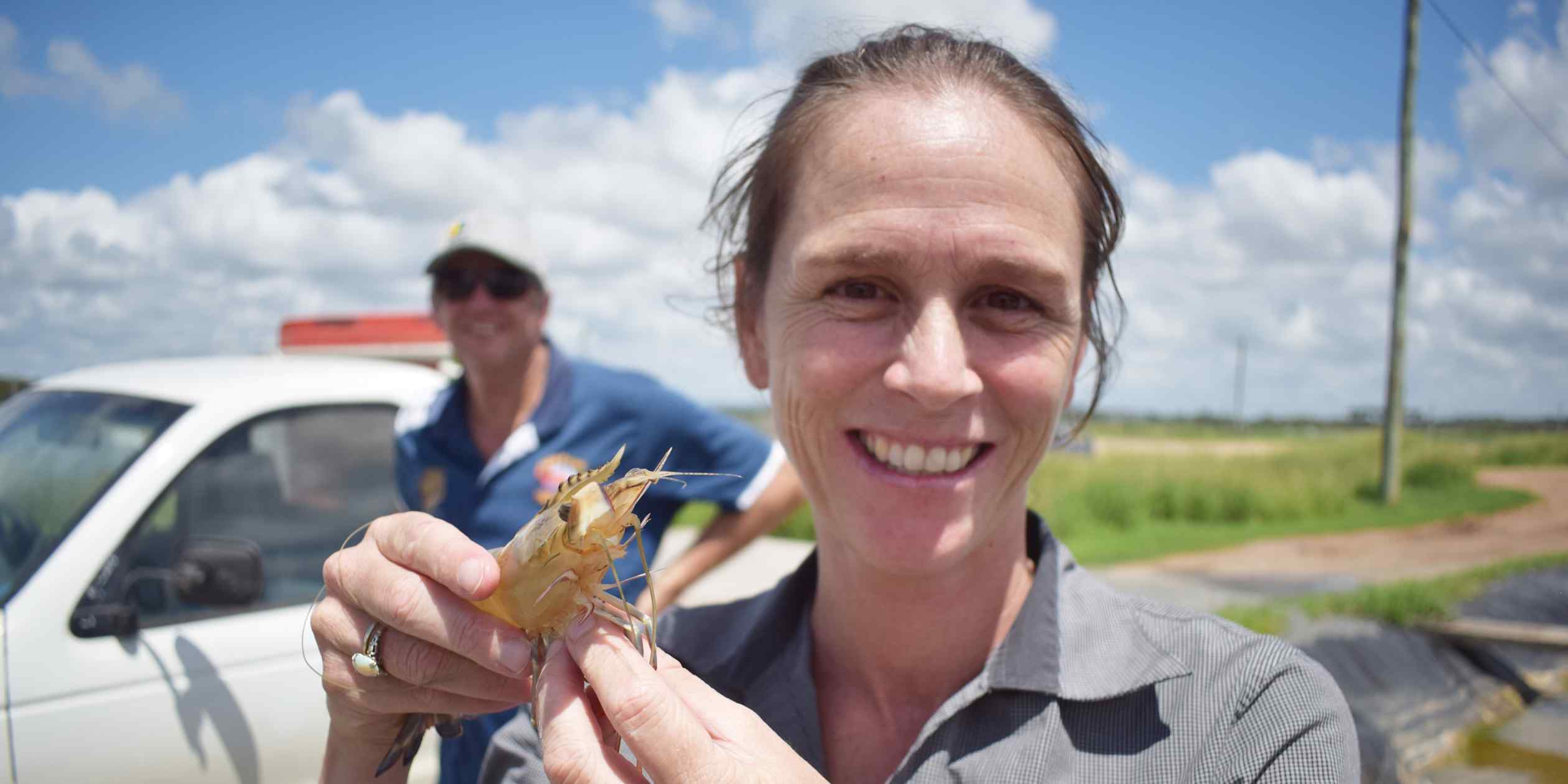 Australian startup finds niche in Southeast Asian shrimp farms