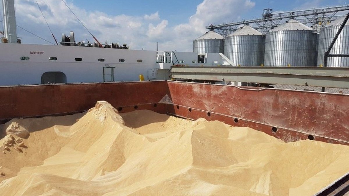 Brazil to negotiate soybean inspection framework after Chinese complaints, minister says