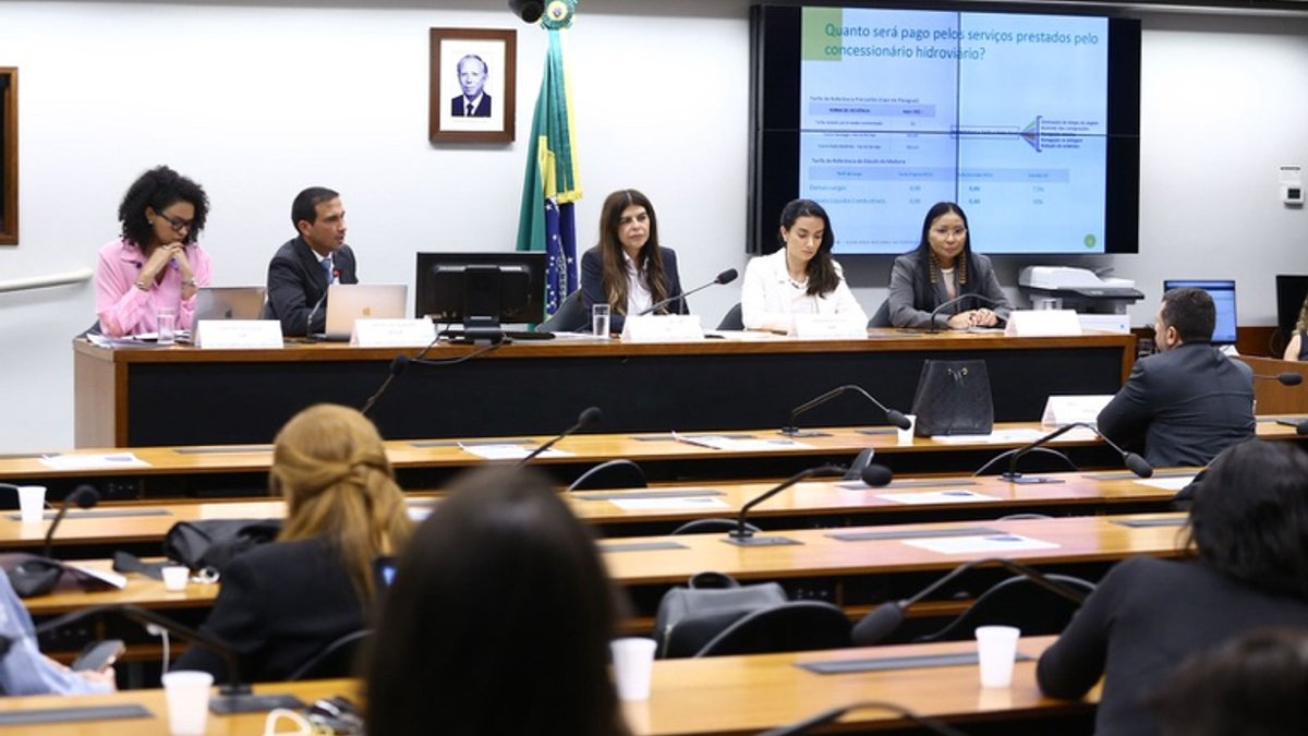 Chamber Committee hears National Secretary of Waterways and Navigation on concessions agenda