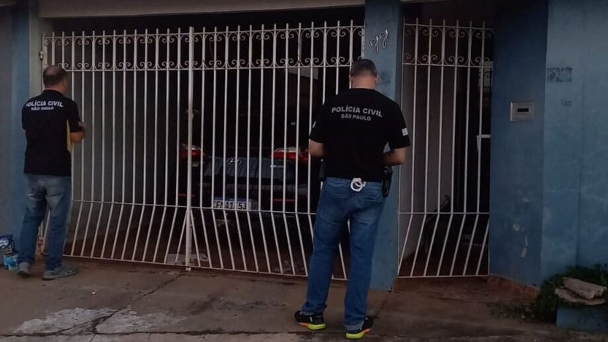 Civil Police dismantles million-dollar scheme that adulterated soybean cargo at the Port of Santos