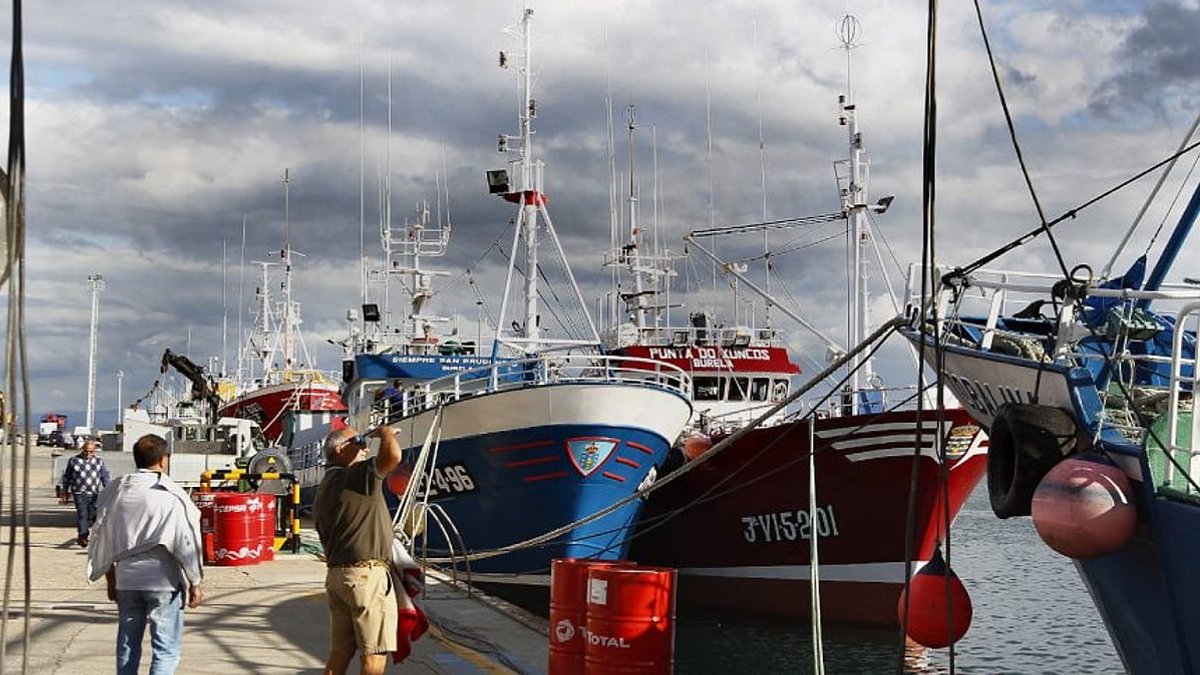 European fishing sector calls for urgent EU action as fuel prices surge