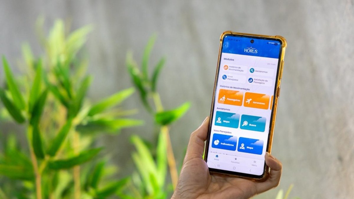 Hórus application will expand access to Brazilian aviation data for the population