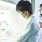 Japan startup eyes clinical trials for stem cell-based diabetes treatment