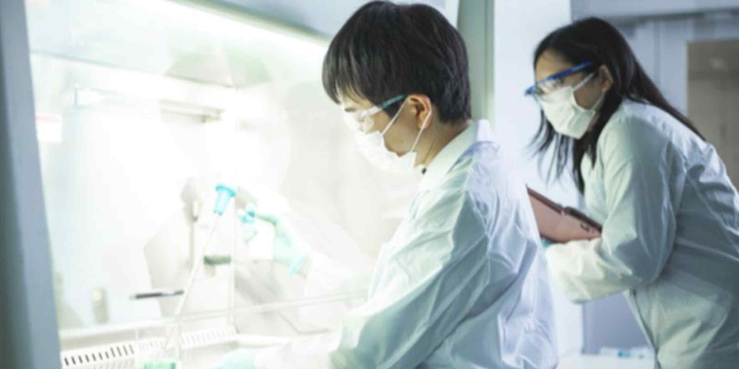 Japan startup eyes clinical trials for stem cell-based diabetes treatment