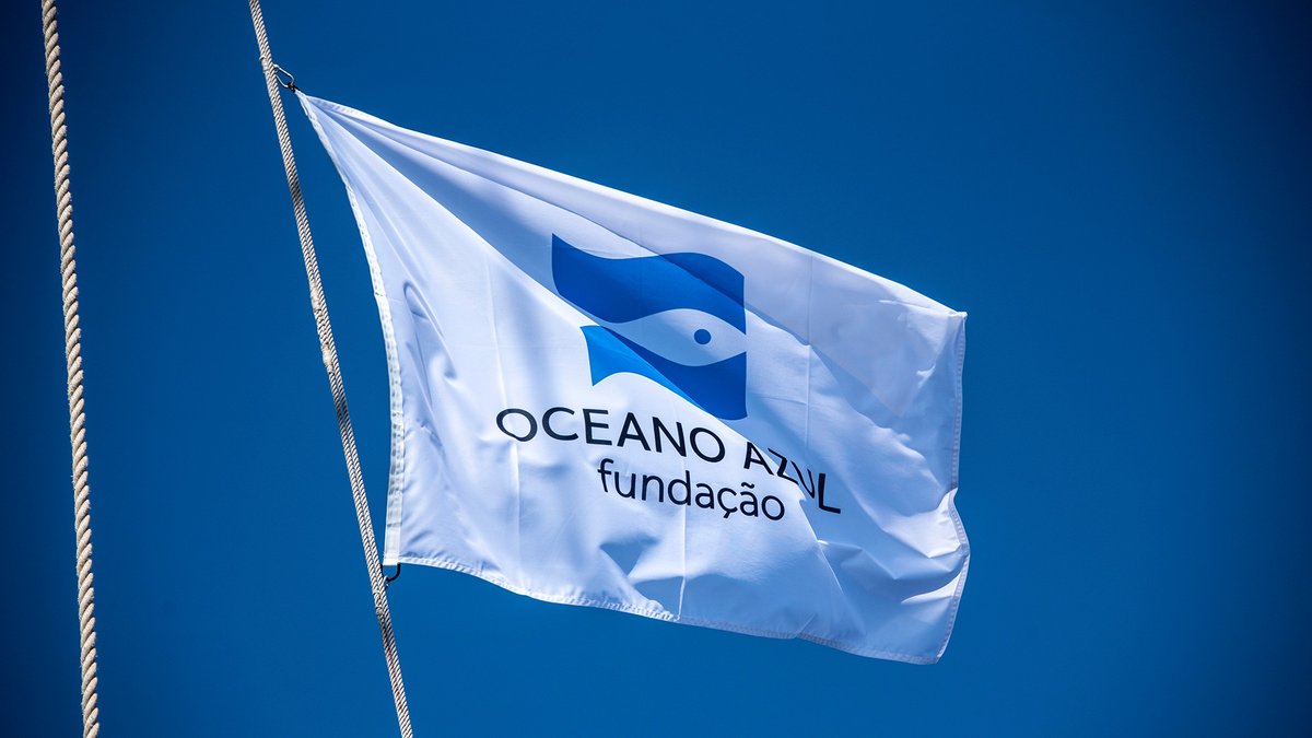 Oceano Azul Foundation calls for more ambition in the future European Oceans Law.