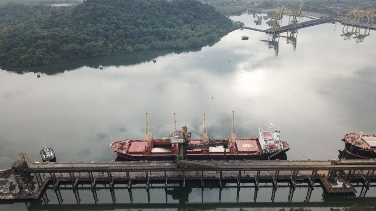 Tiplam reaches record and moves 14.3 million tons in 2025
