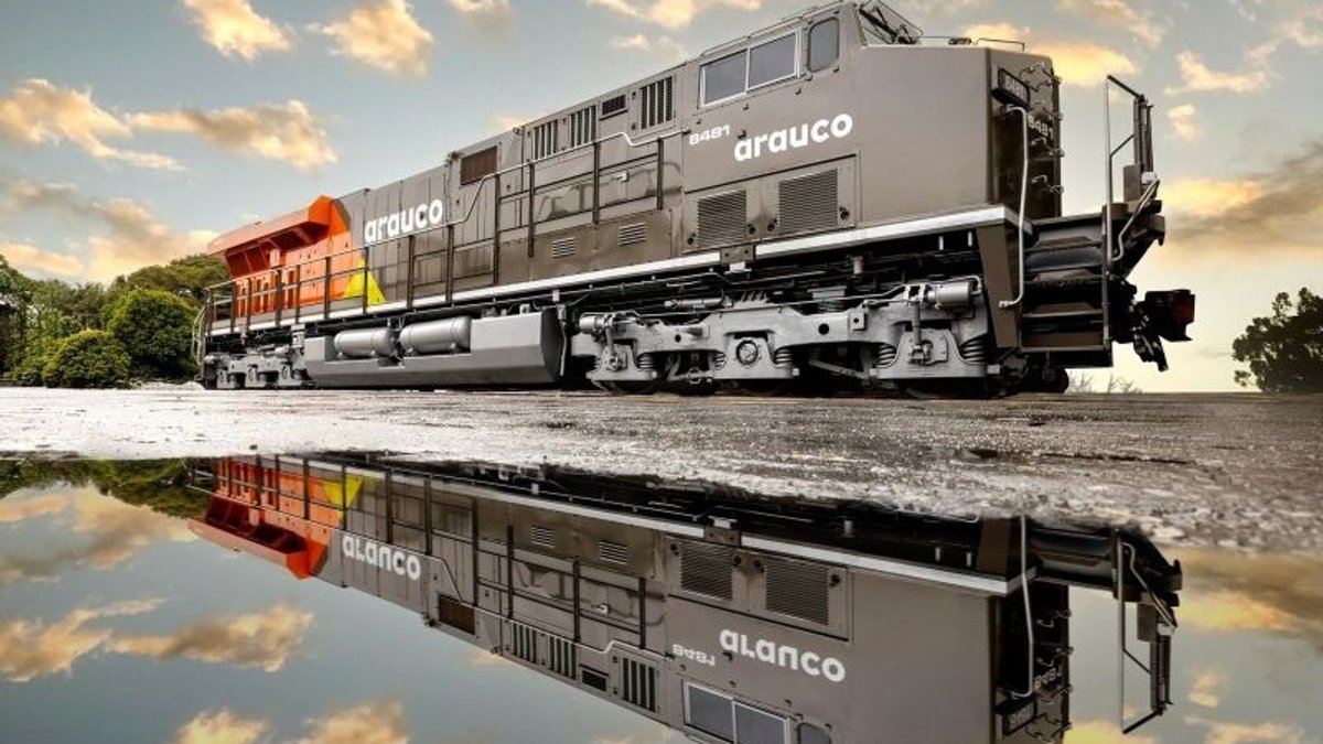 Arauco Group invests R$2 billion in port terminal in Santos