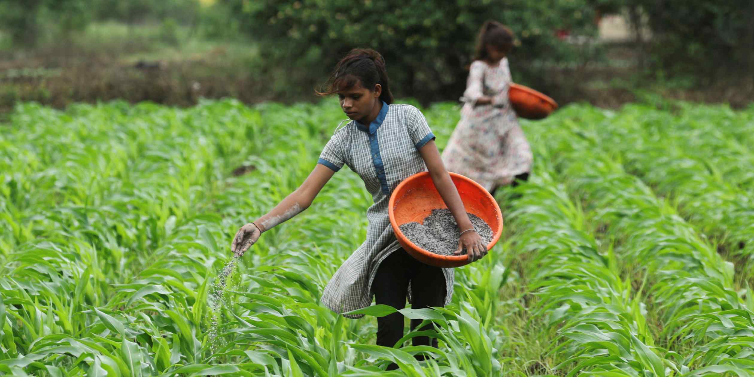 India looks to fertilizer exporters in Indonesia and Malaysia amid Iran war