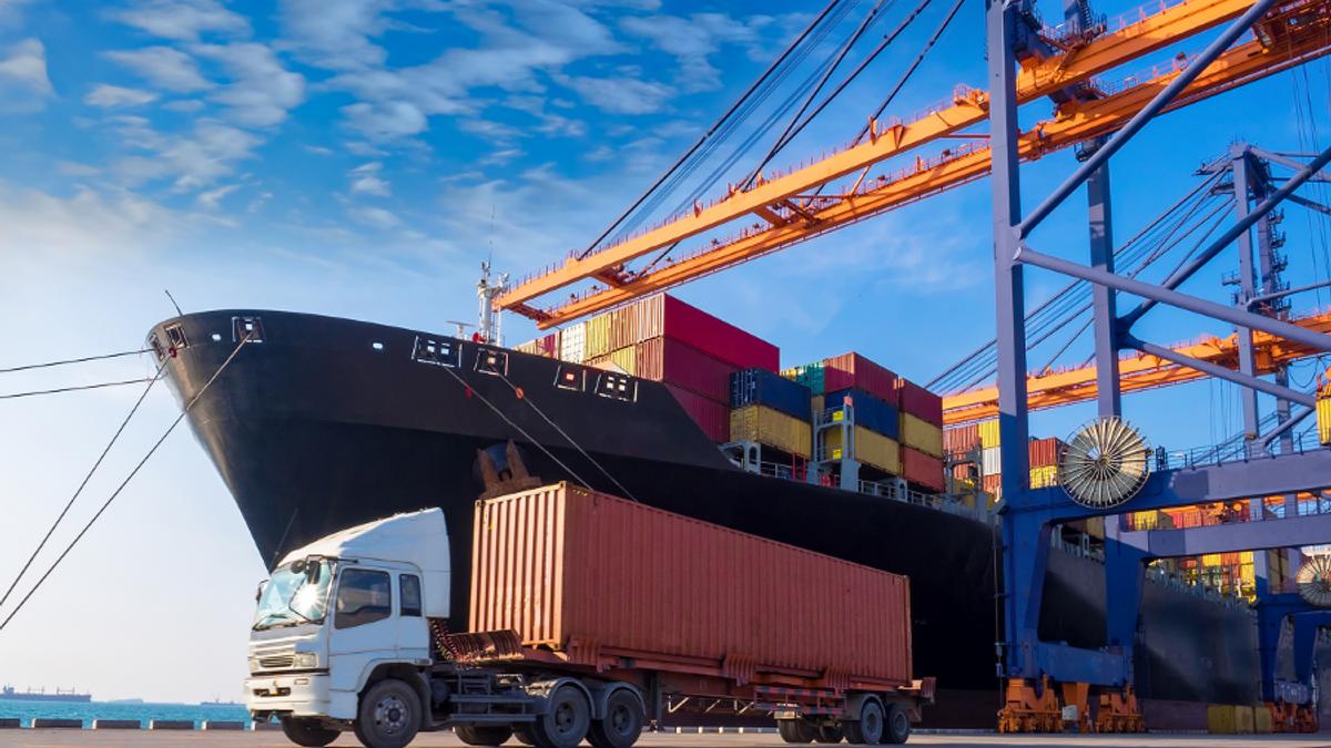 Bimco forecasts moderate growth in the bulk segment