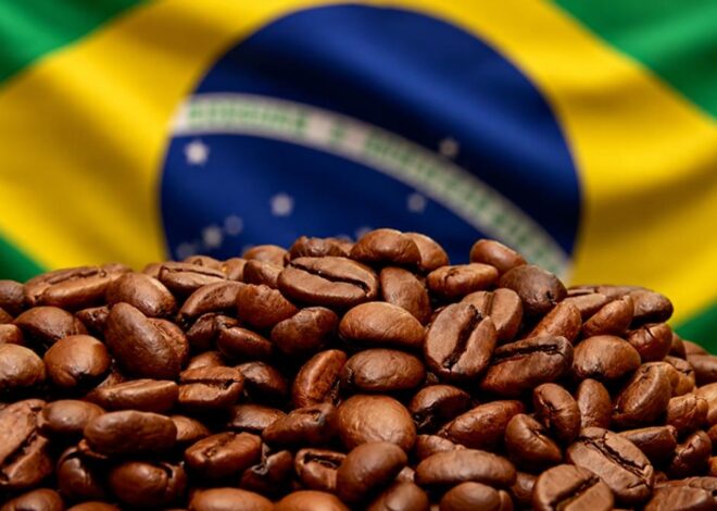 Brazil’s coffee exports grow in volume, but revenue falls 18% in April