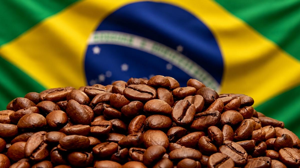 Brazil’s coffee exports grow in volume, but revenue falls 18% in April