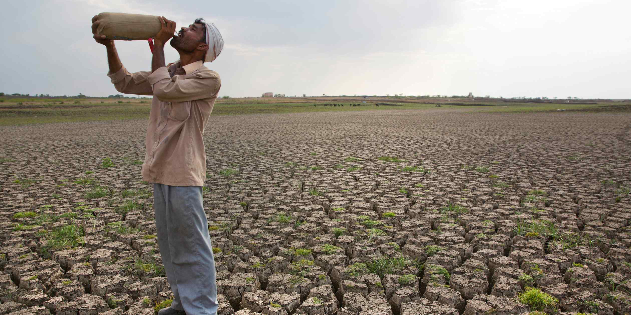 ‘Godzilla’ El Nino menaces farmers from India to Australia