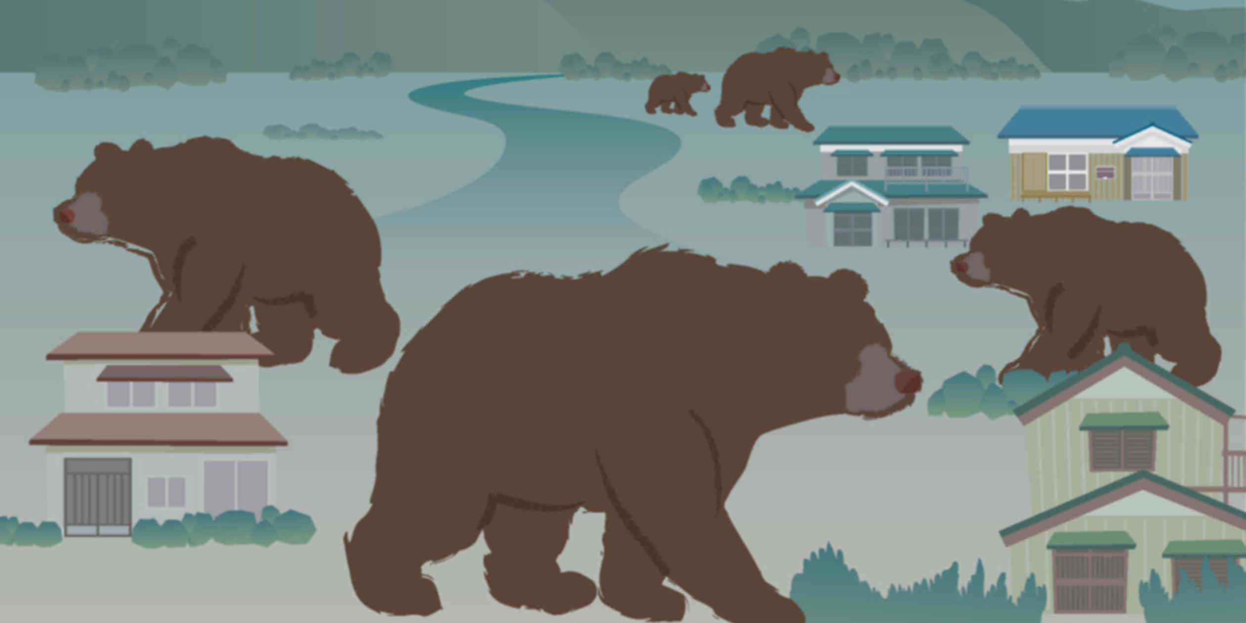 Japan campsites on high alert for bears during Golden Week holidays