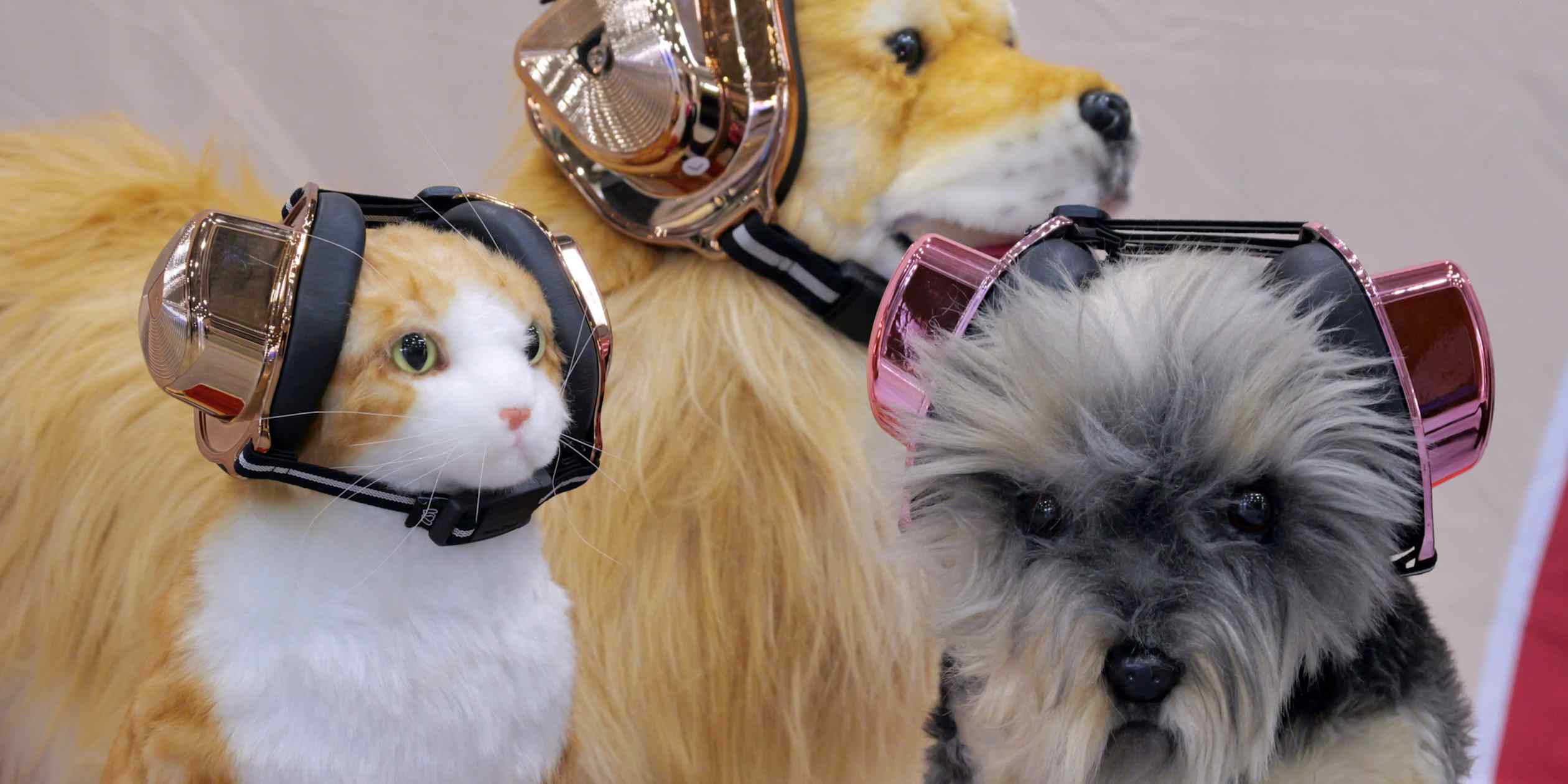 Japan trade show highlights quality-of-life innovations for pets