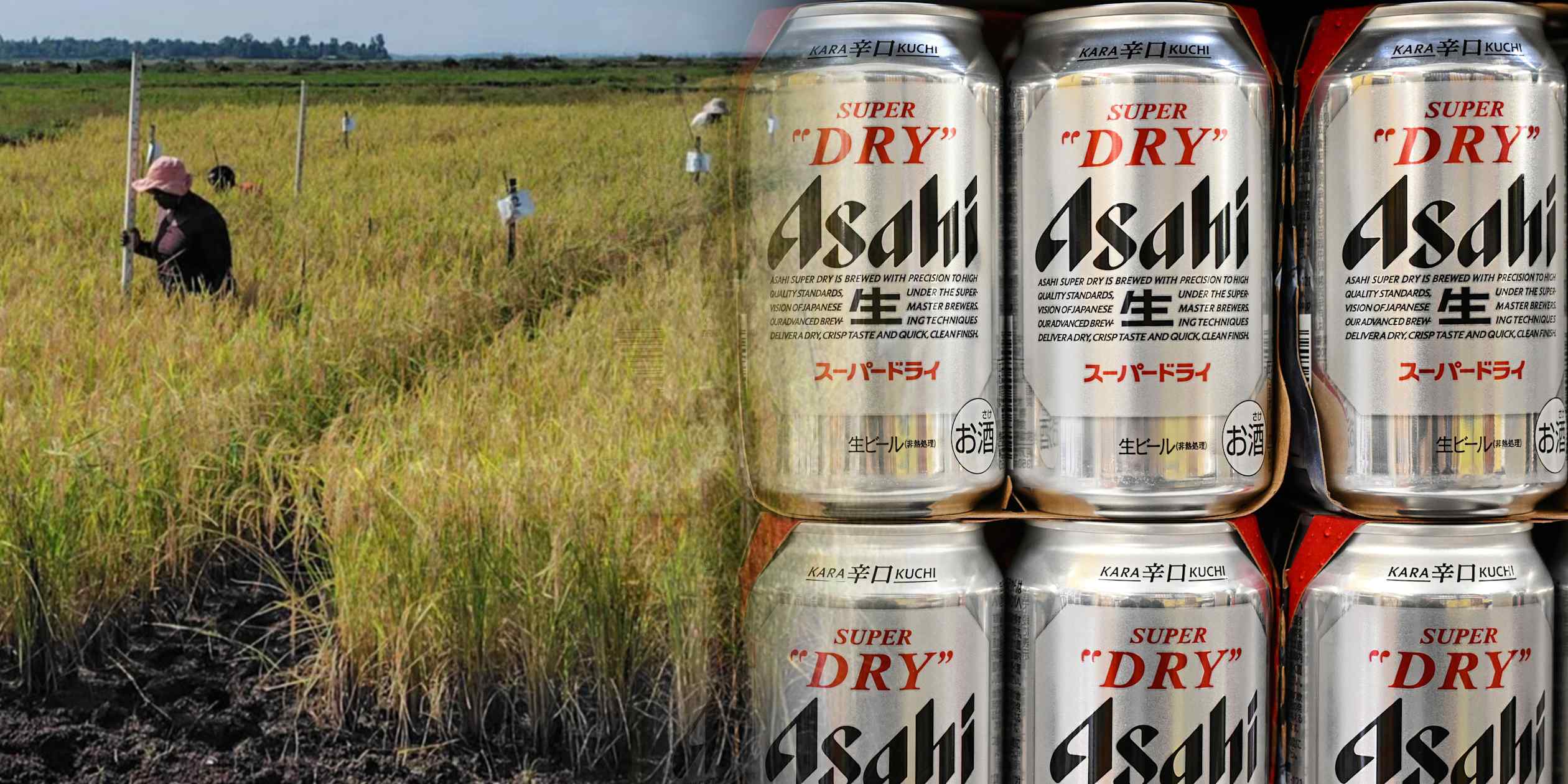 Japan’s Asahi places global bet on beer-brewing byproducts