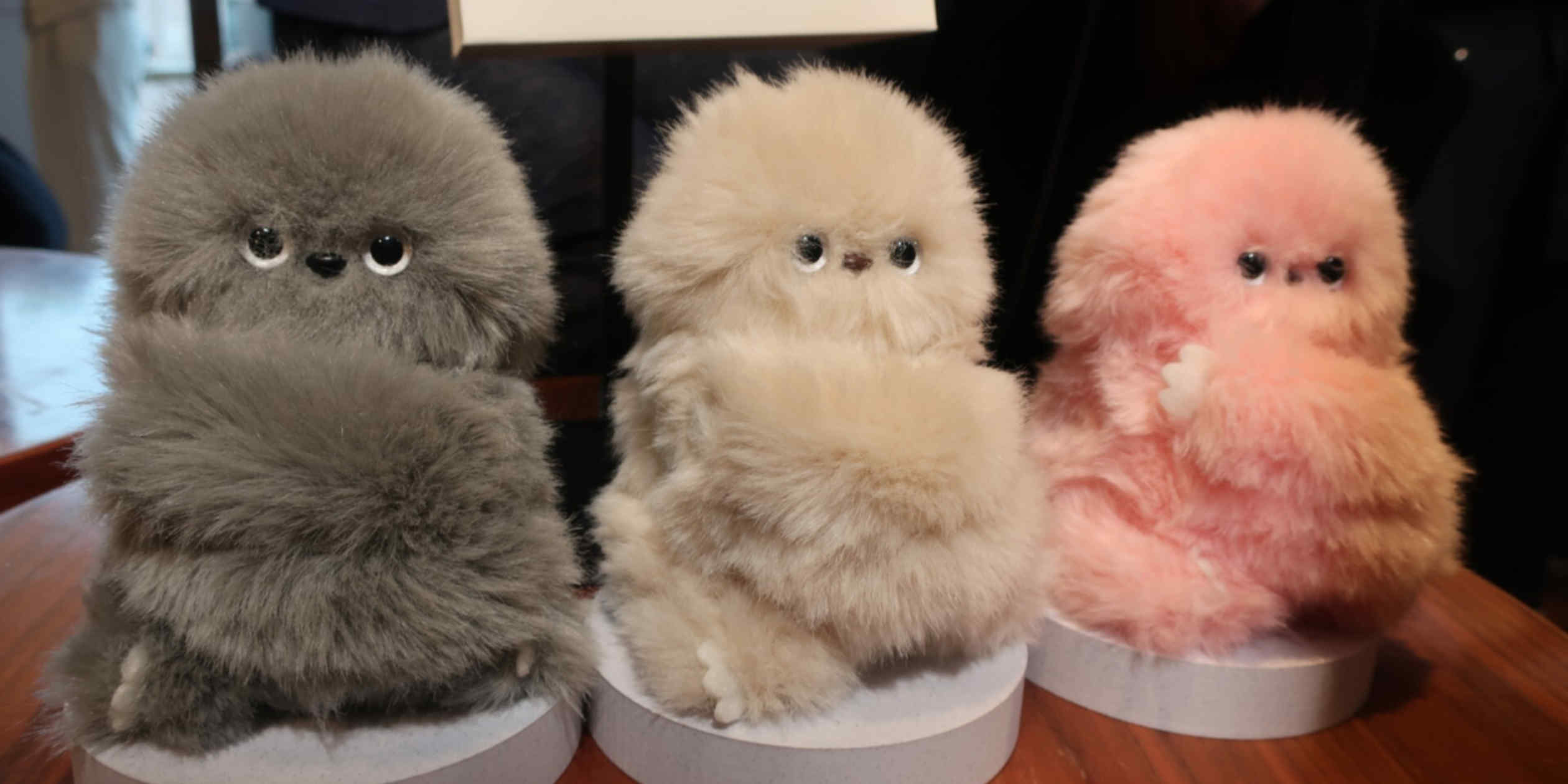 Japan’s Mirumi plush robots aim to go worldwide with cute glances