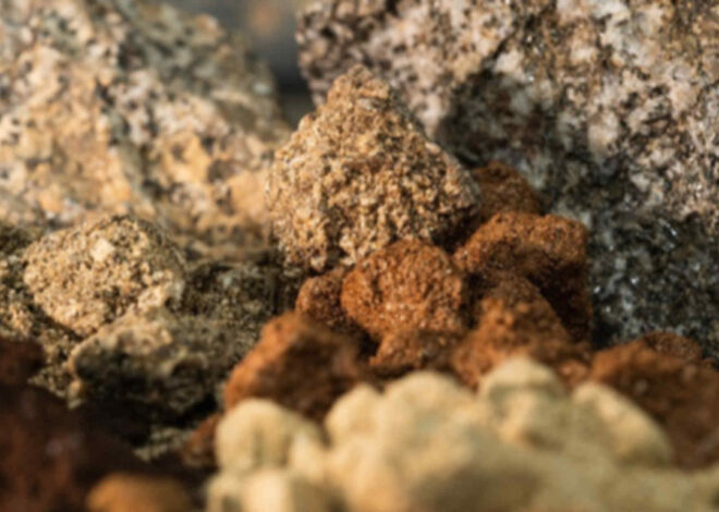Canadian miner taps Brazil to carve China out of rare-earth supply chain