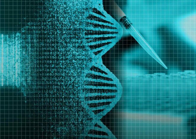 Growth in species discoveries fuels hopes for new drugs