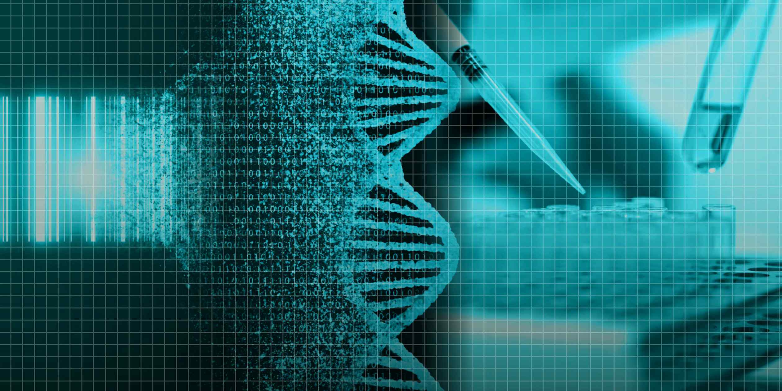 Growth in species discoveries fuels hopes for new drugs