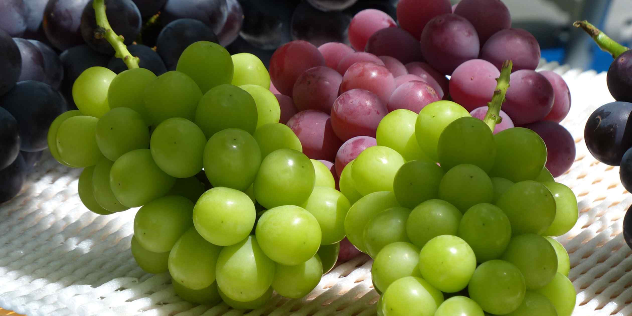 Japan to bolster IP protections for prized new fruit, vegetable varieties
