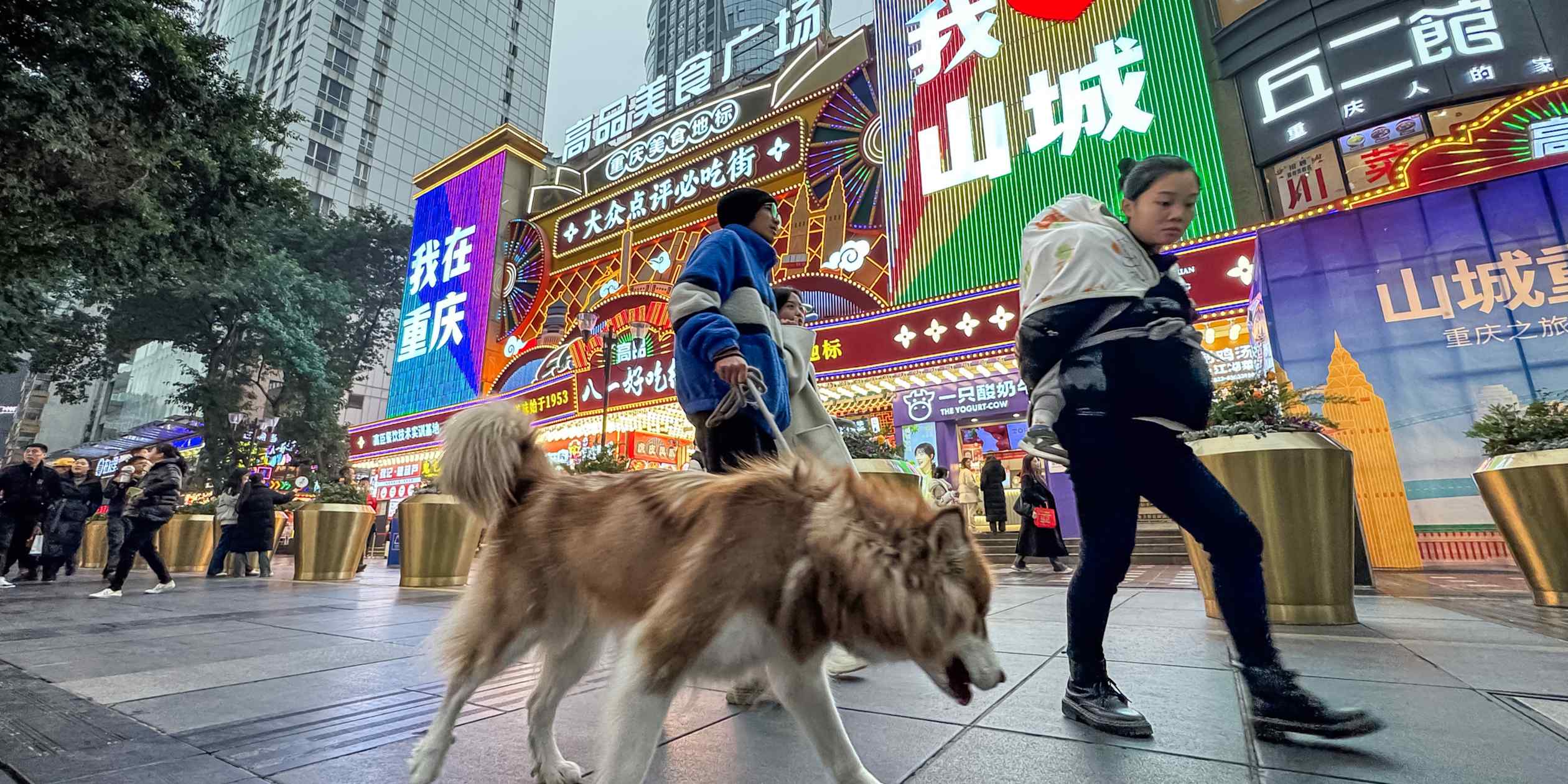 Rare protest over animal abuse spotlights China’s ‘mass-movement’ fears