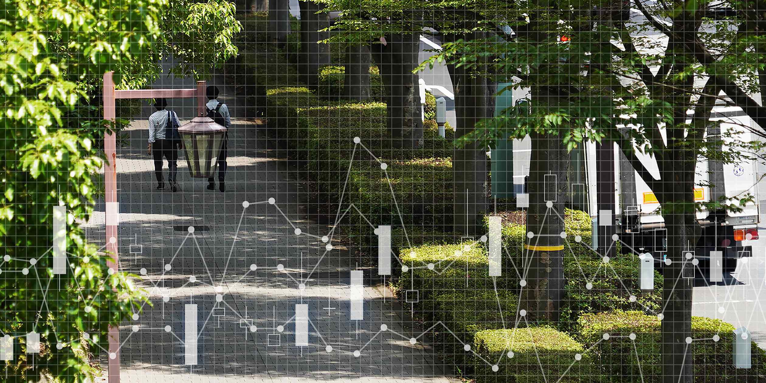 Throwing shade: Japan’s urban tree coverage dwindles, bucking global trend
