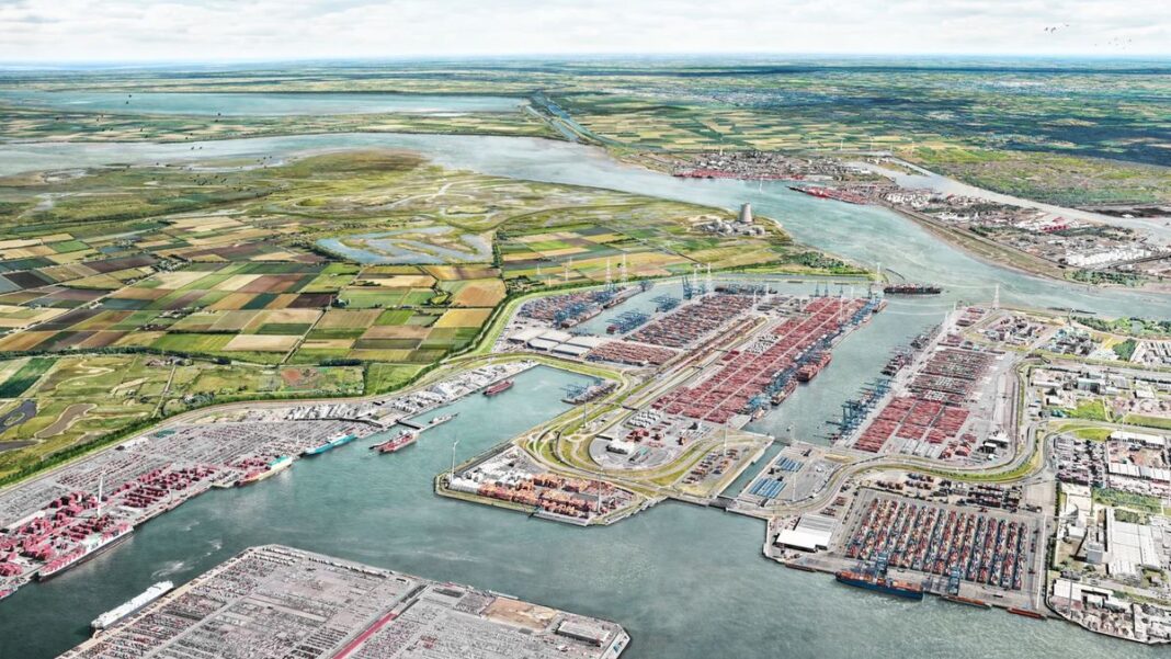 Antwerp-Bruges advances Left Bank Container Cluster
