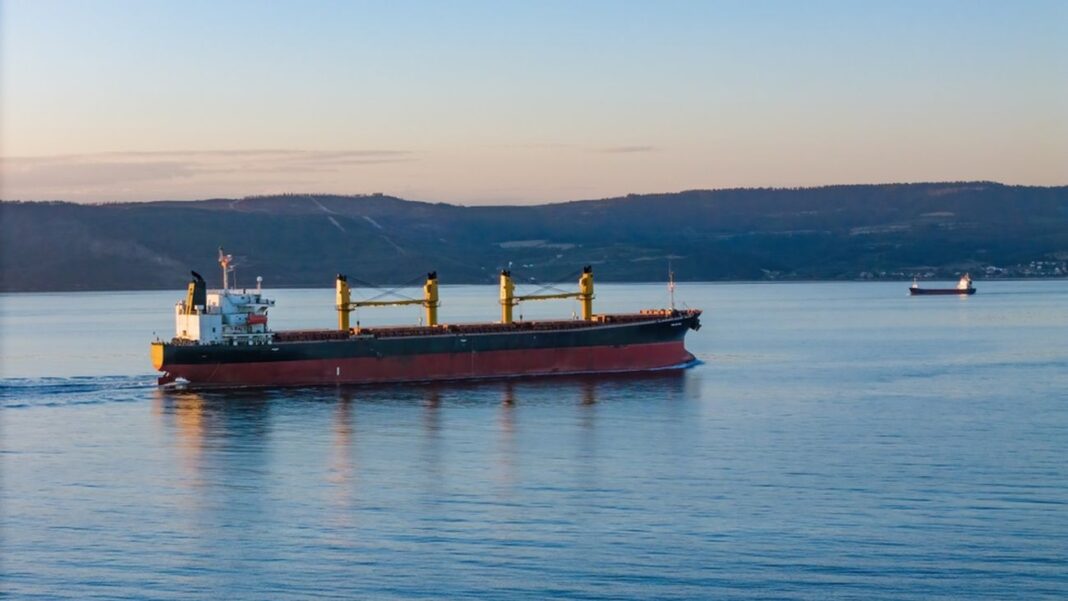 Bulk carrier safety improves, but risks emerge
