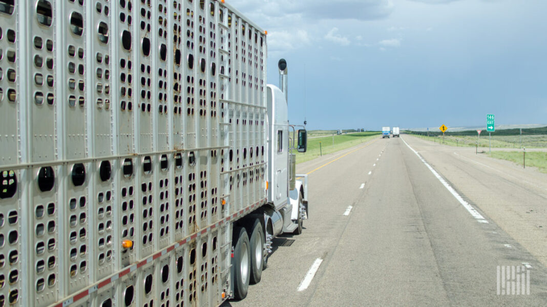 BulkLoads expands ag freight footprint with Livestock Network acquisition BulkLoads expands ag freight footprint with Livestock Network acquisition